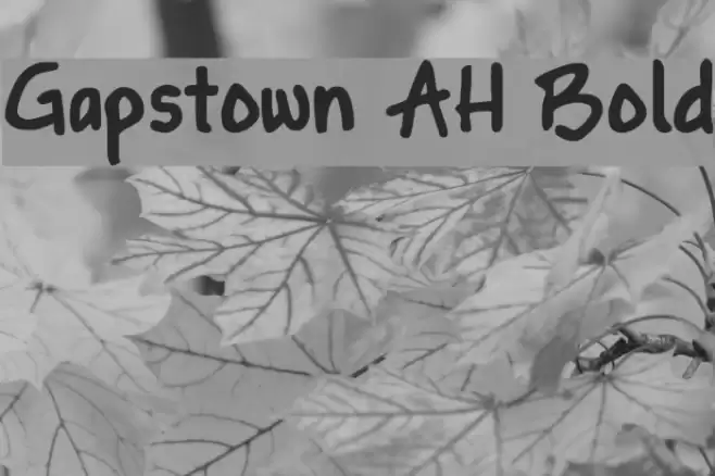 Gapstown AH Bold Font examples