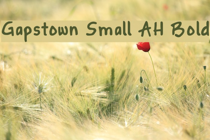Gapstown Small AH Bold Font examples
