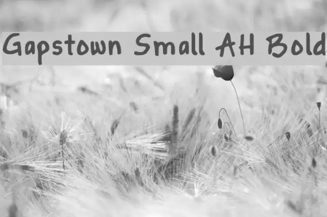 Gapstown Small AH Bold Font examples