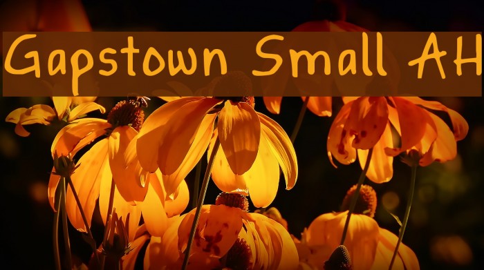 Gapstown Small AH Font examples