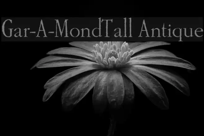 Gar-A-MondTall Antique Font examples