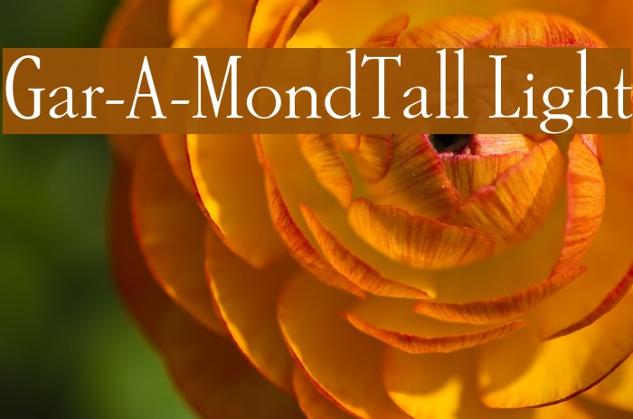 Gar-A-MondTall Light Font examples