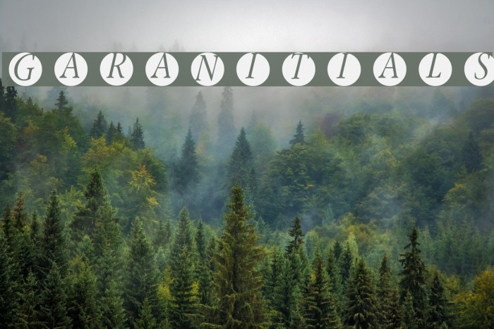 GaraNitials Font examples