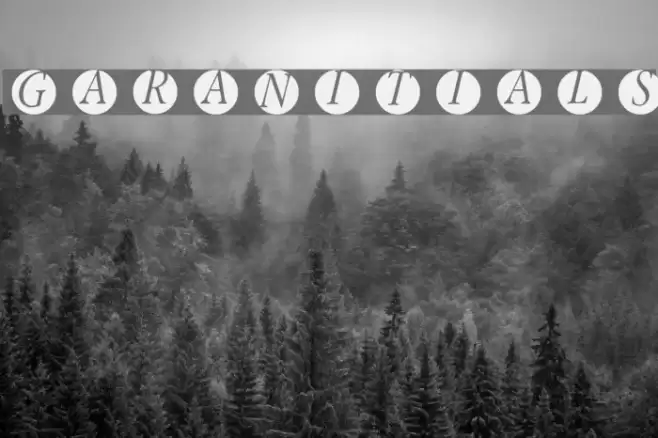GaraNitials Font examples