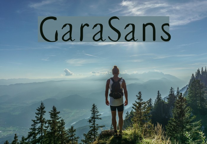 GaraSans Font examples
