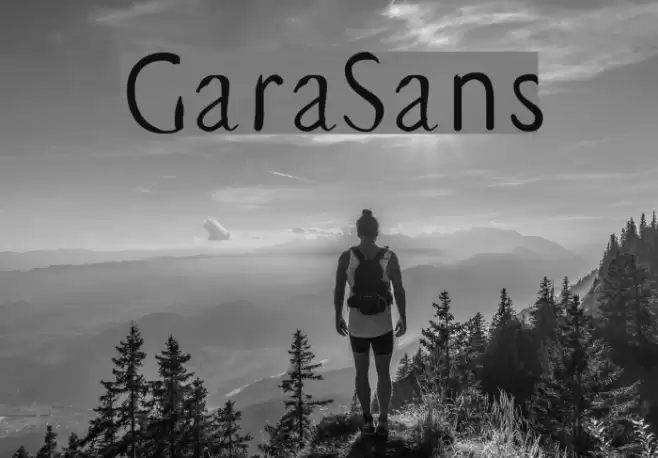 GaraSans Font examples