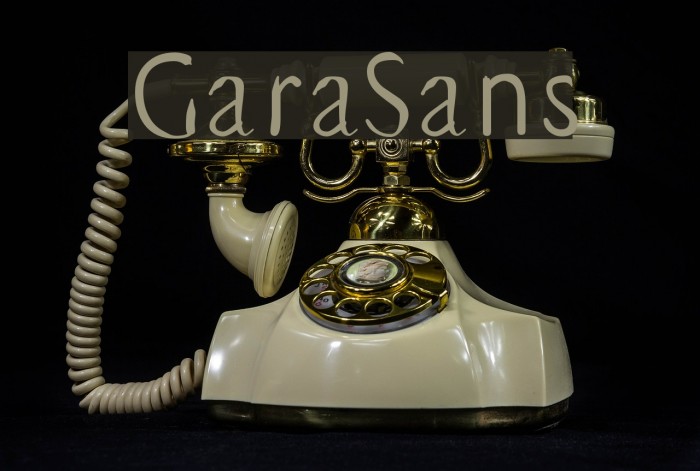 GaraSans Font examples