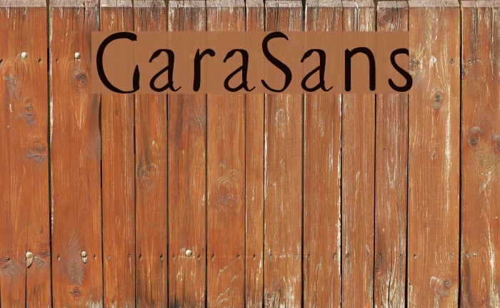 GaraSans Font examples