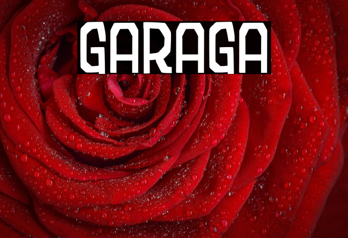 Garaga Example 2