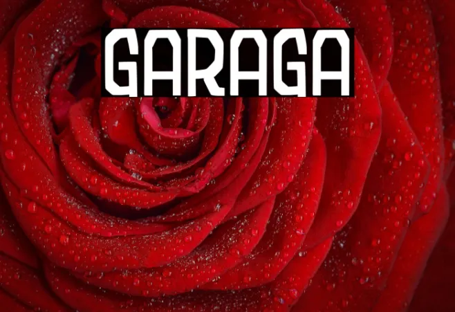 Garaga Example 2