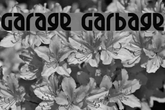 Garage Garbage Font examples