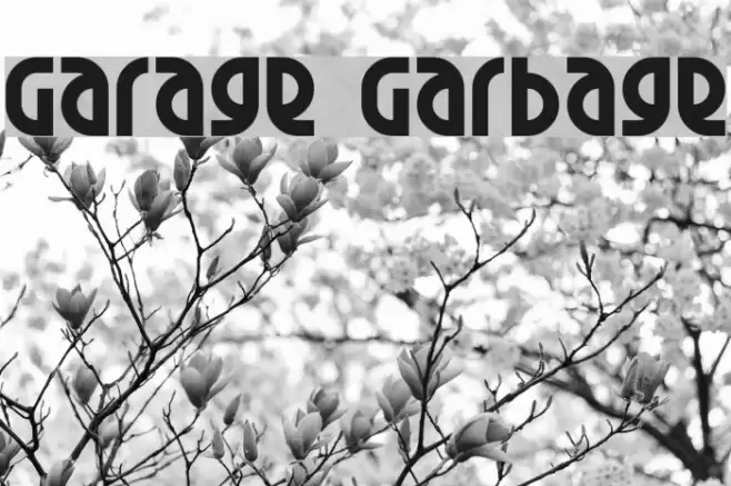 Garage Garbage Font examples