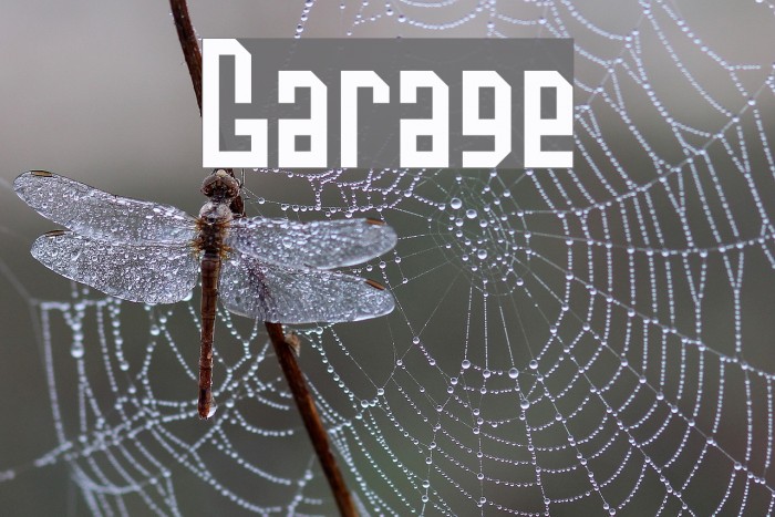 Garage Font examples