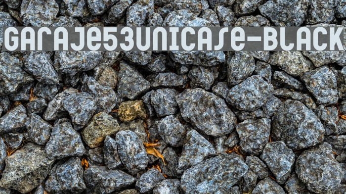 Garaje53Unicase-Black Font examples
