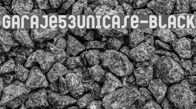 Garaje53Unicase-Black フォント examples