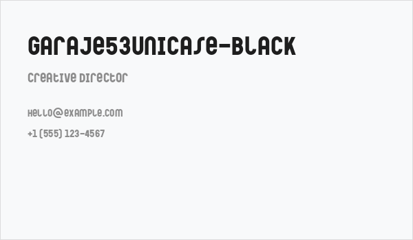 Garaje53Unicase-Black Business Card
