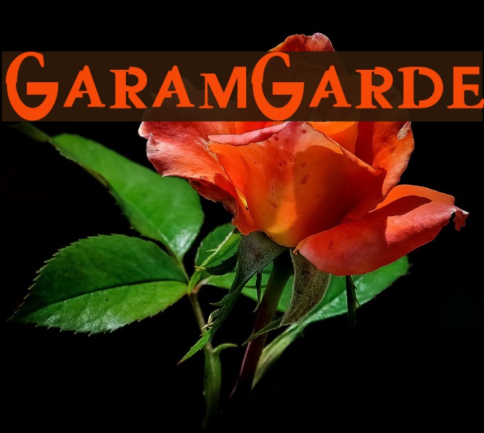 GaramGarde Schriftart examples