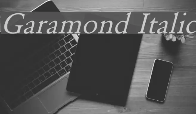 Garamond Italic Font examples