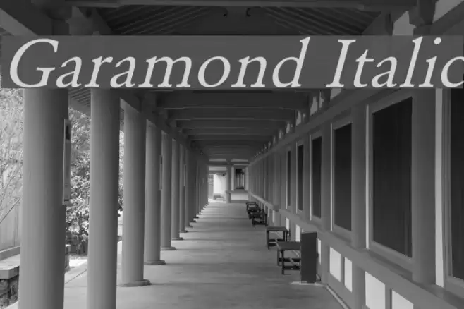 Garamond Italic Font examples