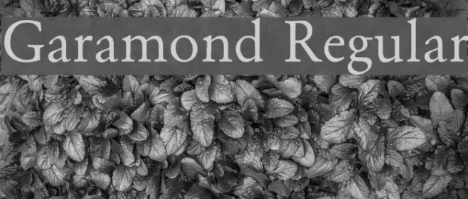 Garamond Regular Font examples