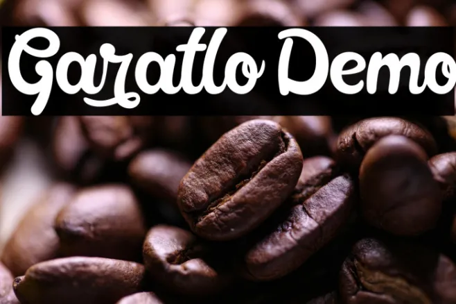 Garatlo Demo Example 1