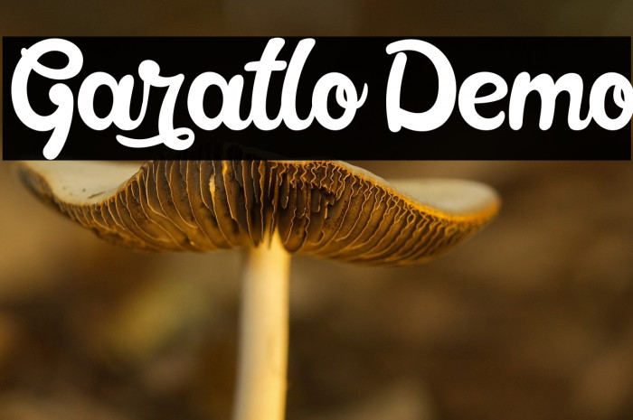 Garatlo Demo Example 3