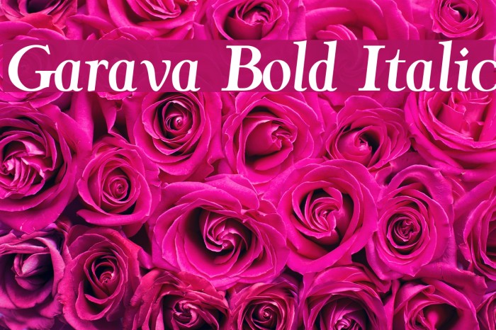 Garava Bold Italic Font examples
