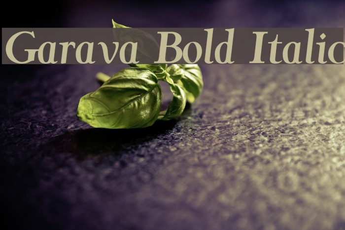 Garava Bold Italic Font examples