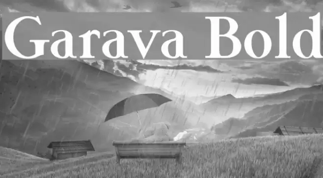 Garava Bold examples