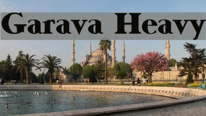 Garava Heavy Example 1
