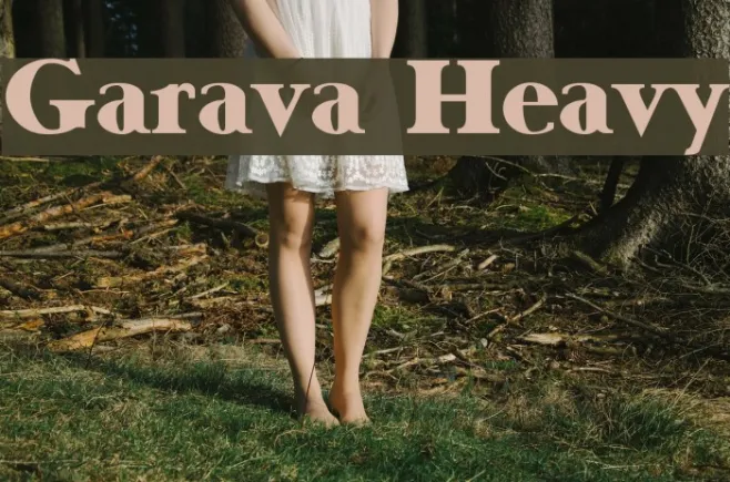 Garava Heavy Example 2