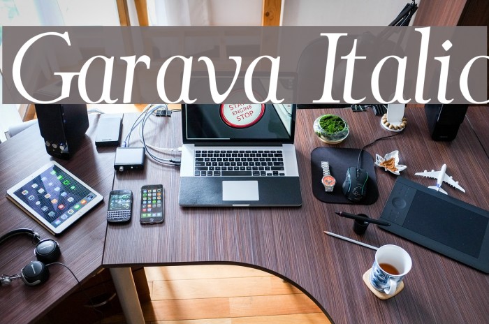 Garava Italic Font examples