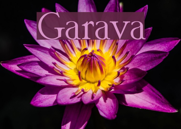 Garava Font examples