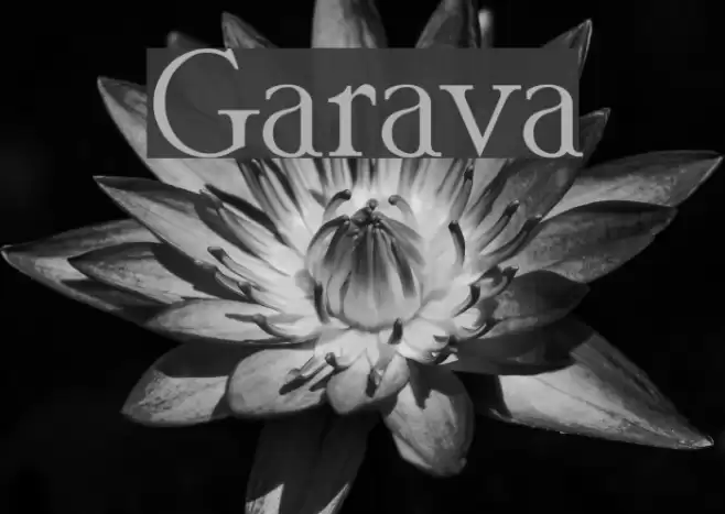 Garava Font examples