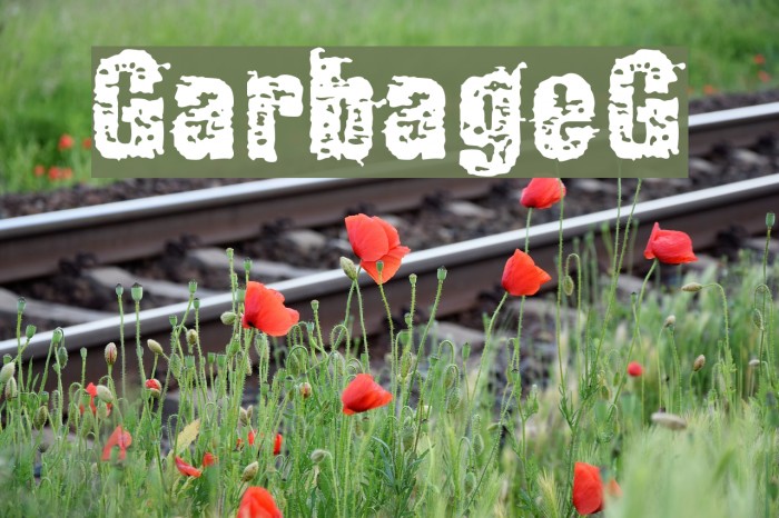 GarbageG Font examples