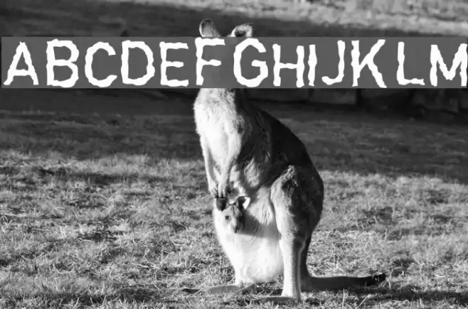 Garbageschrift Thin フォント examples