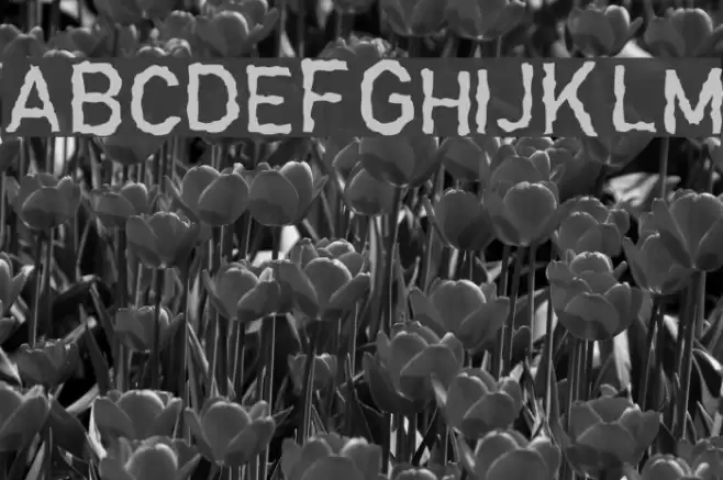 Garbageschrift Thin フォント examples