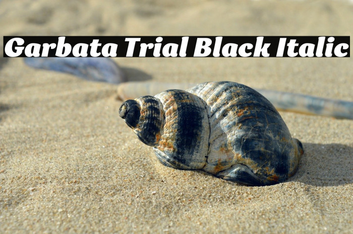 Garbata Trial Black Italic Example 1