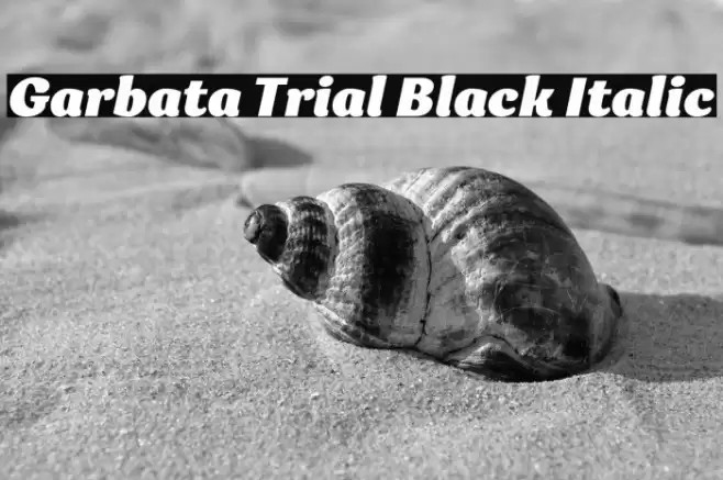 Garbata Trial Black Italic Font examples