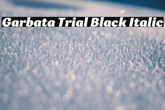 Garbata Trial Black Italic Example 2