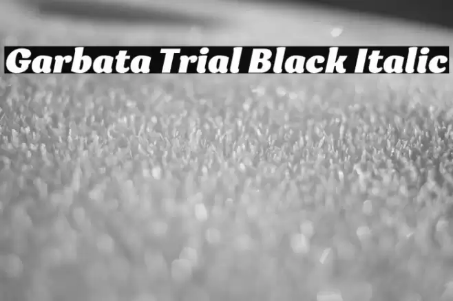 Garbata Trial Black Italic Font examples