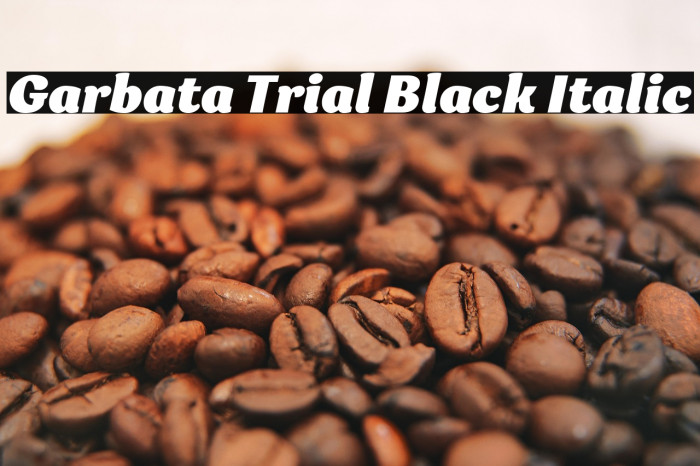 Garbata Trial Black Italic Example 3