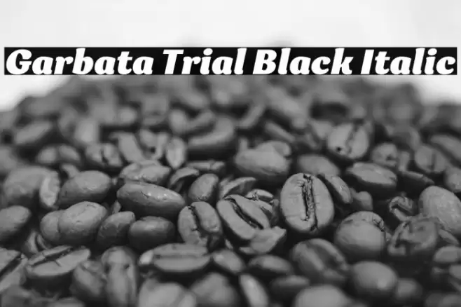 Garbata Trial Black Italic Font examples