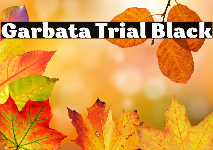 Garbata Trial Black Example 2