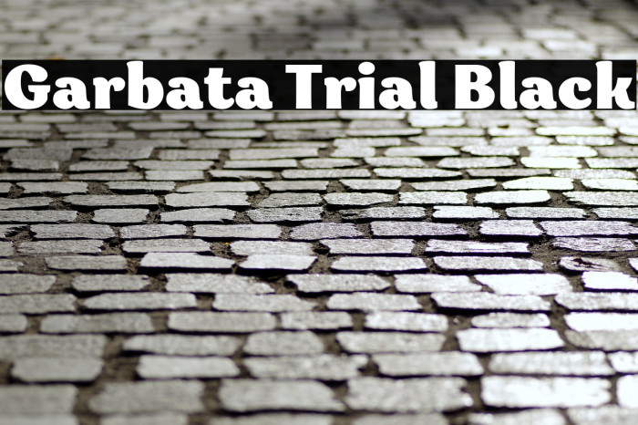 Garbata Trial Black Example 3