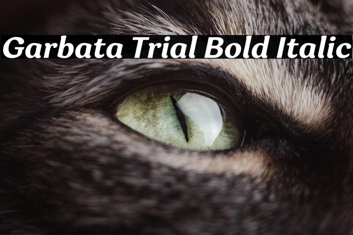 Garbata Trial Bold Italic Example 3