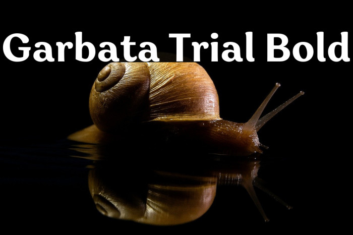 Garbata Trial Bold Example 1