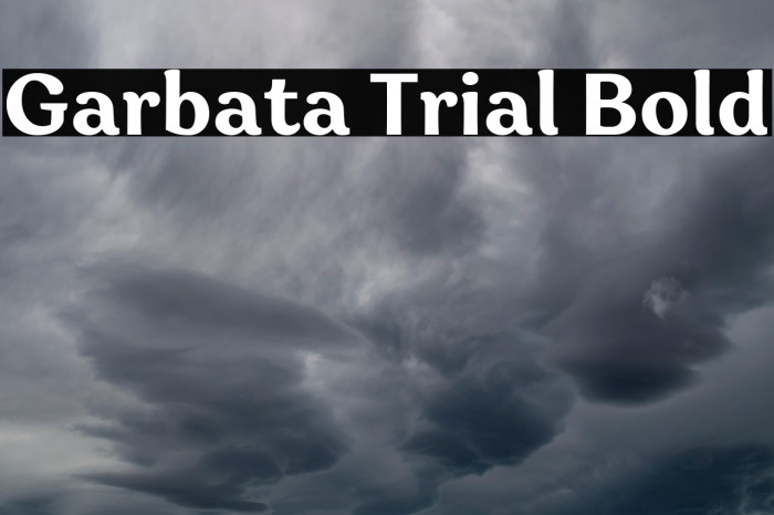 Garbata Trial Bold Example 3