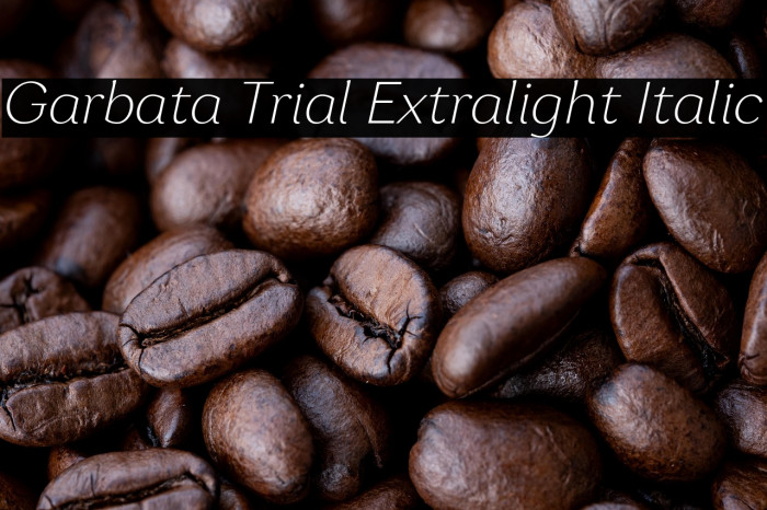 Garbata Trial Extralight Italic Example 2