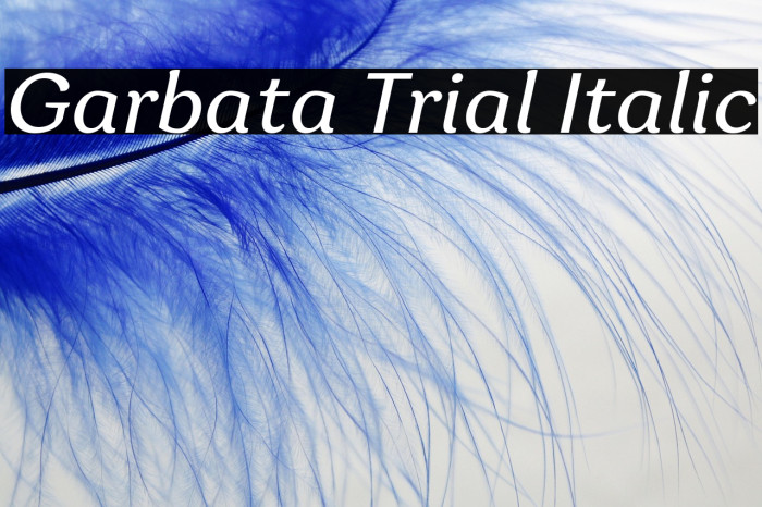 Garbata Trial Italic Example 2